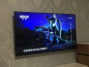 索尼(SONY)KD-65X8566E 65英寸4K HDR腾讯