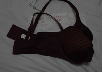 一般般的<em>胸罩</em>