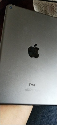 深度爆料AppleiPad mii评价如何？怎么样呢？体验揭秘测评怎么样？有谁用过？