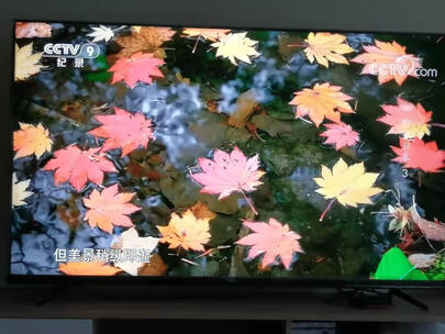 【真实感受】TCL 55V8和55v6m哪个好？质量评测有何区别