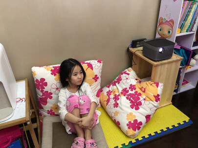 入手评测索尼DX221和nec cd1100怎么样？区别如何
