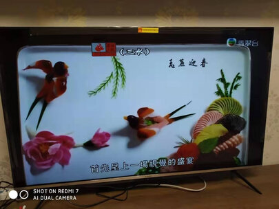 点评对比创维65a20和65a10哪个好？画质音效区别