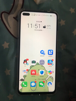 打听了解一下荣耀30和苹果iPhone12区别哪个好？差别大不大