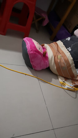 暖和，重要事情说一遍