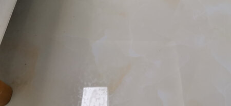 整体体验感不是很好，湿拖把拖地后容易留下水印，地板砖花里胡哨不好看。干托也不行，脱不掉灰尘。。。刚买就要准备吃灰了。