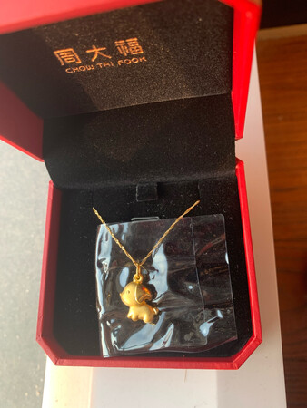 狗子很细致，自己买了一根链子配上挺好的