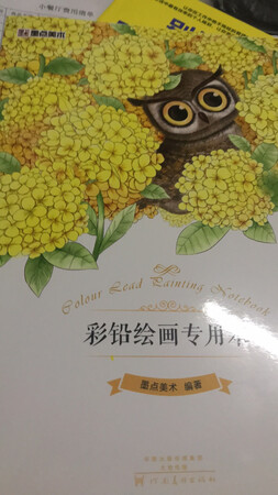 这个纸张还是蛮好的，但就是说他那个嗯后也有那么厚，而且我觉得这个是挺好的，只不过他是彩铅了。