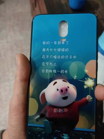 手机壳挺不错的，刚好送了个钢化膜也换上了，店家很细心，包装严实。