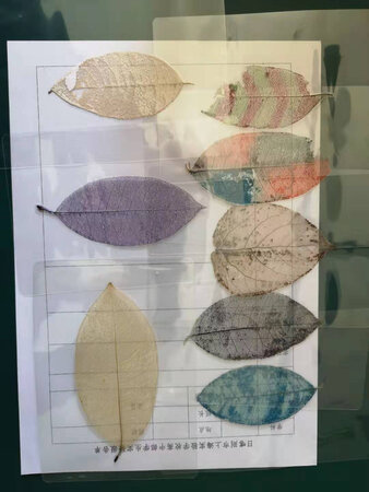 操作简单，使用方便，已经用起来了
