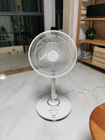 白色风扇颜值高，超级静音，遥控器可以放在风扇上，?国产电风扇高档不少。非常满意。