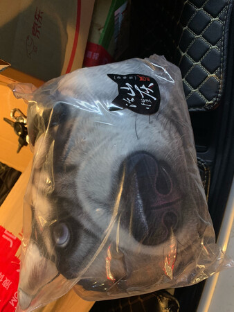 很漂亮的狗子  ??