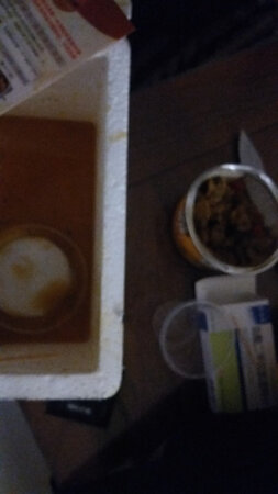 发过来货都烂了，装食物的碗里的汁水都漏到箱子里，之后吃去来还有一点臭