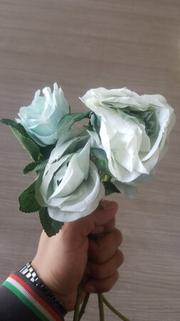 请问商家，这是什么情况