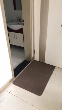 适用场景：主入口、卫生间、阳台门口，厨房水槽下面
清洁难易：需要吸尘器
大小尺寸：正好
其他特色：颜色很舒服，只敢不错