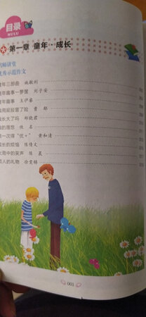 书质量很好，插图是彩印的，希望能对孩子的写作有所帮助！