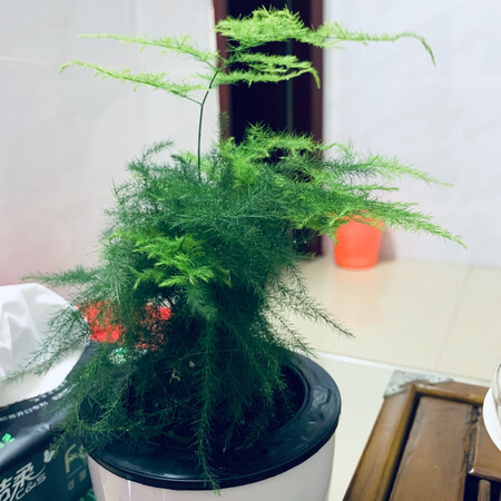 质量挺好，很满意。