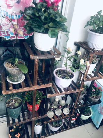 外形外观：漂亮
占地大小：大
安装体验：简单
产品质量：好
风格特点：颜色好看
其他特色：很稳固