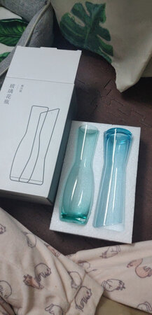 超值了！好好看，而且包装很用心，专门的泡沫模具包装的，很棒！插一支花就很好了！水培也很好！