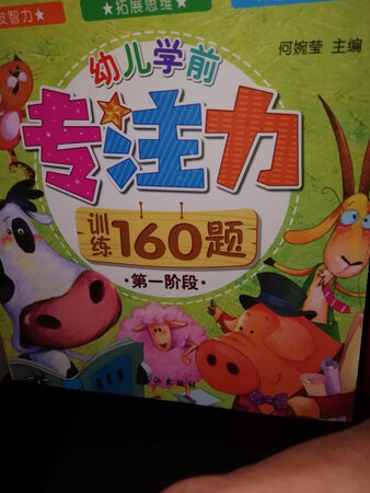 孩子挺喜欢的，从第一阶段循序渐进学习，不错！