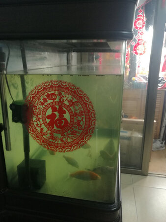 很好，下次还买。