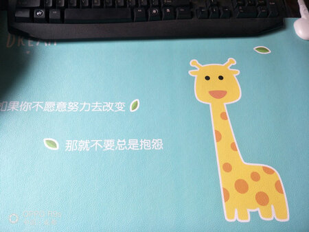 垫子很好看，发热速度也很快，颜色很小清新，同事说比他们买的好