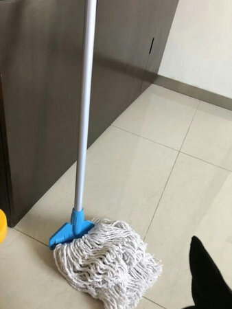 很方便，拖布头可以拆洗！好用！