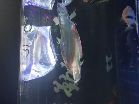 老板的人很好 值得信赖。