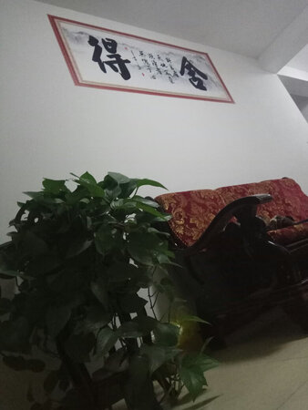 效果挺好，买大了点。。。东西不错，看能粘多久了。