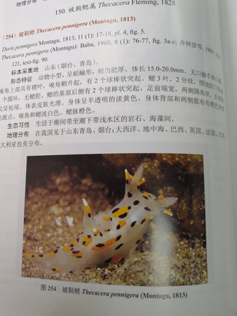 专业书籍，正版图书，内容丰富清晰，生物鉴定不可或缺的图书。