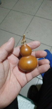 不错的葫芦，体贴的商家，还送了几个种子，感谢