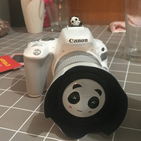 东西看着挺好的，还没有用，希望用起来也不错