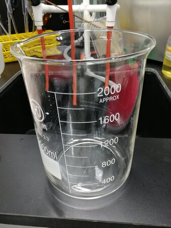 每次都在这家买，质量确实不错！