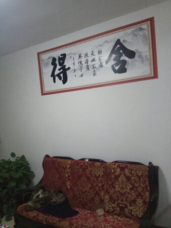 效果挺好，买大了点。。。东西不错，看能粘多久了。