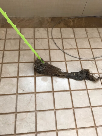 确实好用 赞  下单又买了  备用 哈哈哈
