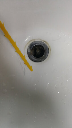 确实好用，下去稍微动几下，碎头发就上来了