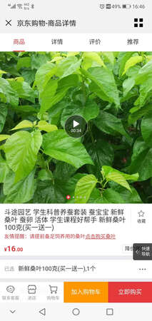 商家描述的学生学习的蚕宝宝套装只是两袋桑叶，存在主观的欺骗行为，悲哀！也是网购悲剧的开始！并且，送货人员把货送到小区保安后无电话或信息告知，不负责任