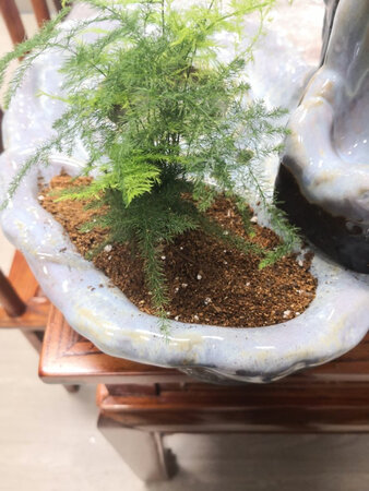 很不错，店家服务态度很好。会推荐给朋友买