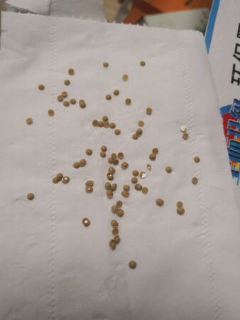 好棒，很好的一次购物。