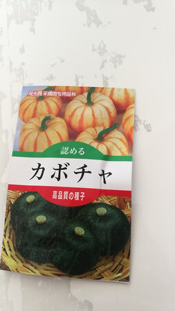 刚收的，速度很快，回老家种了。