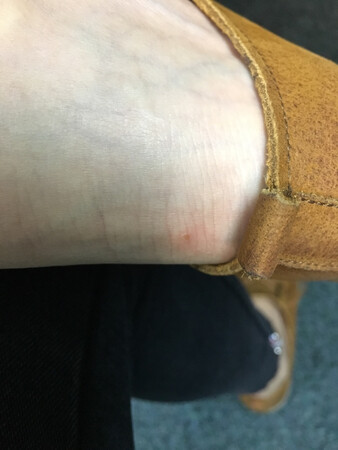 刚开始穿很舒适，第二天开始就磨脚了，难道是我脚太胖了麽(?‾? ?? ‾??)
