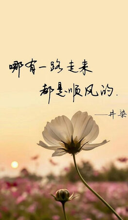 质量挺好，很满意。