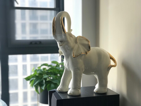 超乎想象的漂亮，寓意很好，神态表情很#真，放在家里很上档次，很值得购买，活动时买的挺优惠