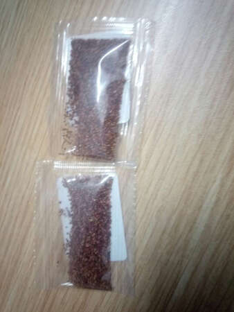 二千粒但感觉很少，也不知能否发芽，幸好有包复合肥送。去年买了不少苗种不活，今年改为用种子用心种，希望有收成。