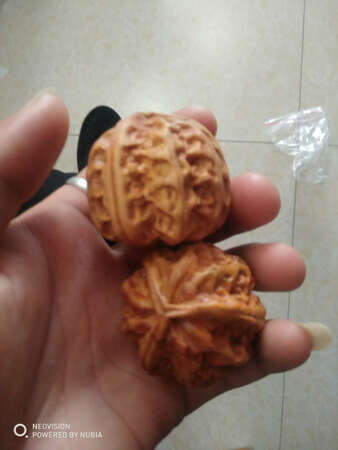 要的貔貅，结果发俩核桃