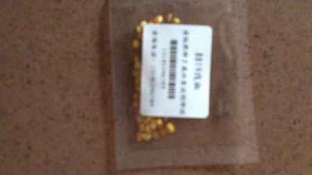 过两天播种，应该不错吧！