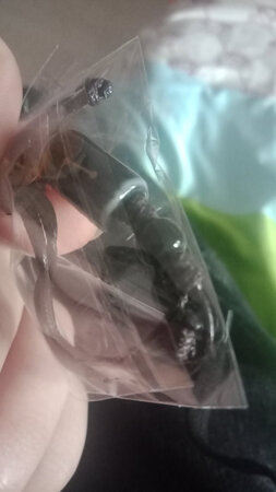 黑的寄过来都掉色了。