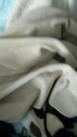 质量很好穿起来很舒服物超所值