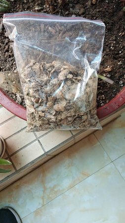 兰花很漂亮，老板还多送2苗，还送花生壳，老板太好了，祝生意永远兴隆！