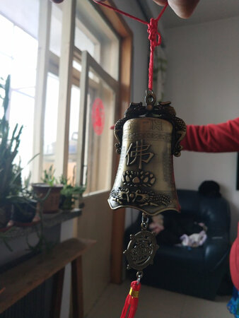 不错，声音很好听，个头也挺大！