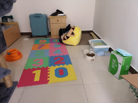 慢慢回把猫砂带出来 但是按照价格来说 已经是不错的了 至少现在她还没有踩翻过盆子?